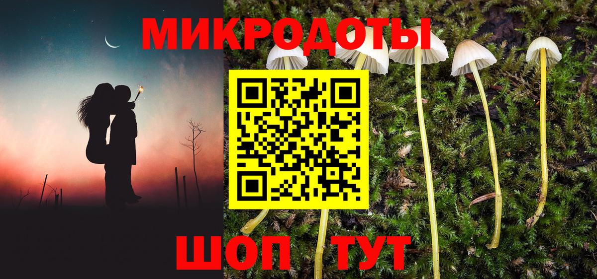 Галлюциногенные грибы Psilocybe  Псилоцибиновые грибы Psilocybe  Щёкино  Вход с VPN 